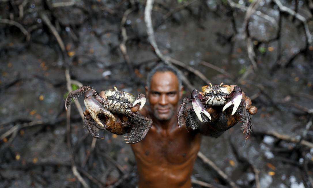 Pescador mostra caranguejos capturados por ele em manguezal na Bahia, no Brasil. Espécie vem se tornando cada vez mais escassa à medida que o aquecimento global vem causando o aumento da temperatura da água e, consequentemente, a morte de caranguejos e outros animais em sua cadeia alimentar Foto: NACHO DOCE / REUTERS