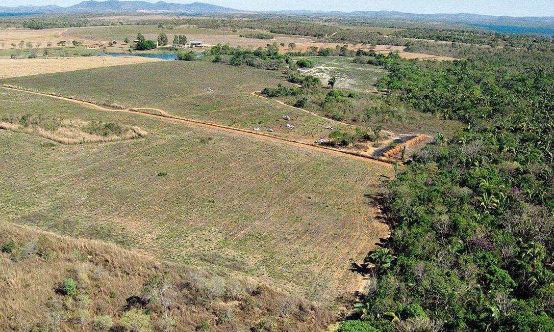 O Cerrado é um biomas mais frágeis do país e palco do avanço da agropecuária e da indústria da soja Foto: Catarina Alencastro/11-9-2009