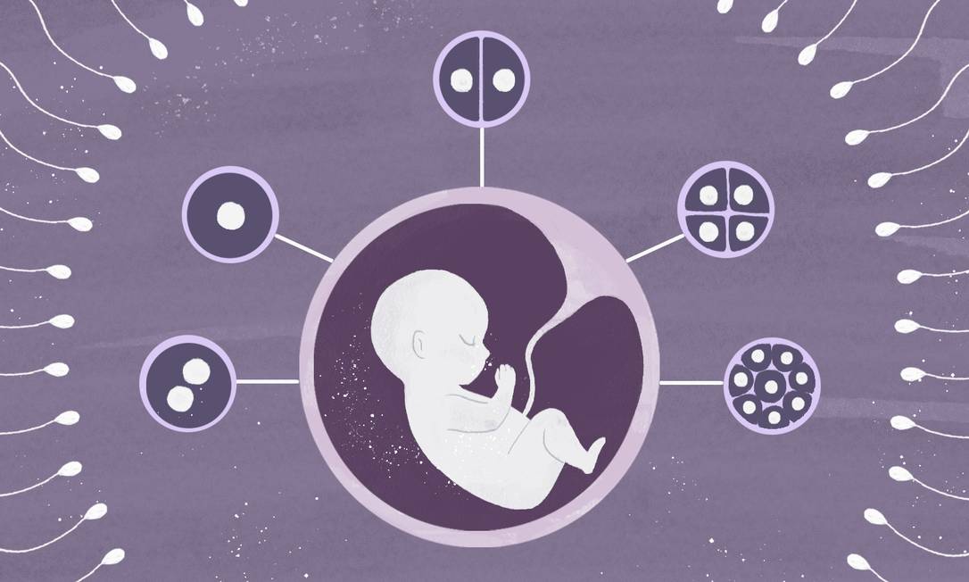 Postergaçao da maternidade ajuda a explicar o crescimento anual de 15% na realização de tratamentos de fertilização assistida no Brasil Foto: Arte de Nina Millen