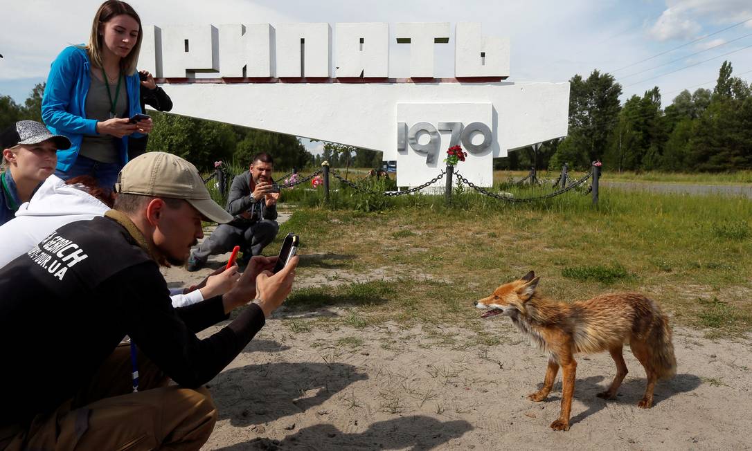 Turista tira foto de uma raposa na cidade abandonada em Pripyat, perto de Chernobyl, em 2 de junho de 2019 Foto: VALENTYN OGIRENKO / REUTERS