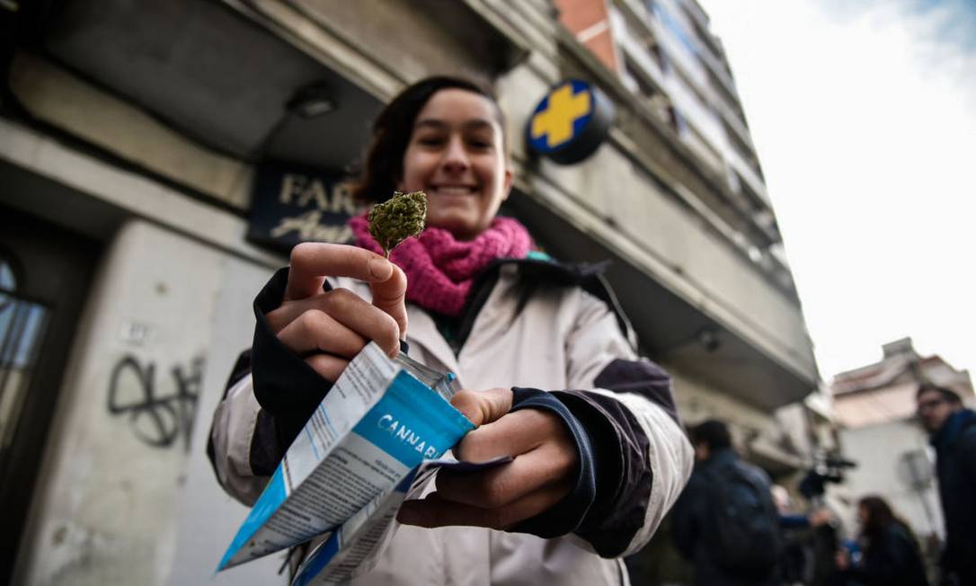 No Uruguai, a maconha pode ser comprada em farmácias. Foto: Pablo Abarenga / Getty Images