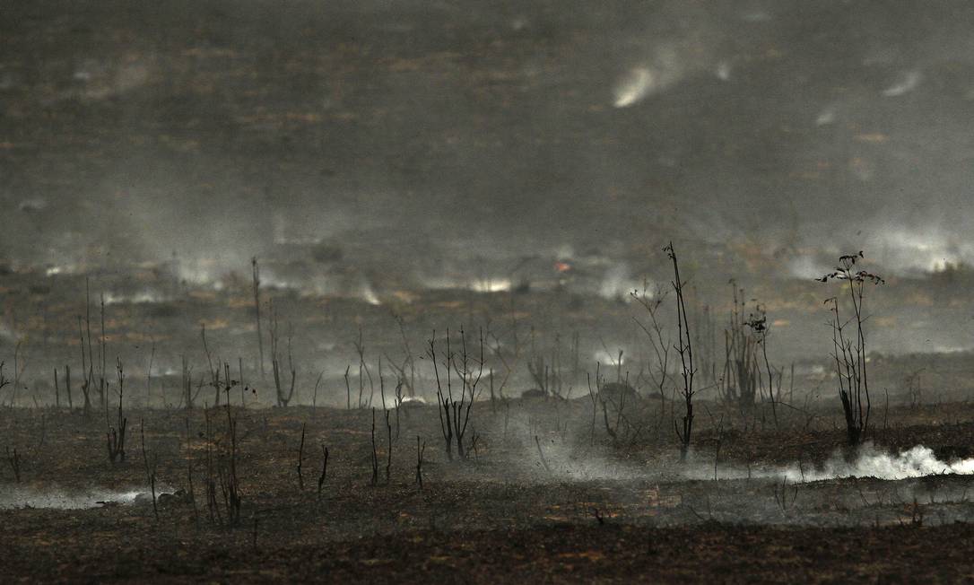 Região devastada no Pará, estado com maior índice de desmatamento no Brasil Foto: RAIMUNDO PACCÓ / Agência O Globo