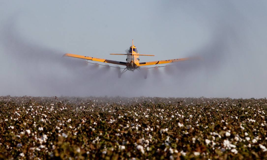 Avião pulverizador de agrotóxicos em lavouras de Campo Grande (MT). Foto: Marcos Alves / Agência O Globo