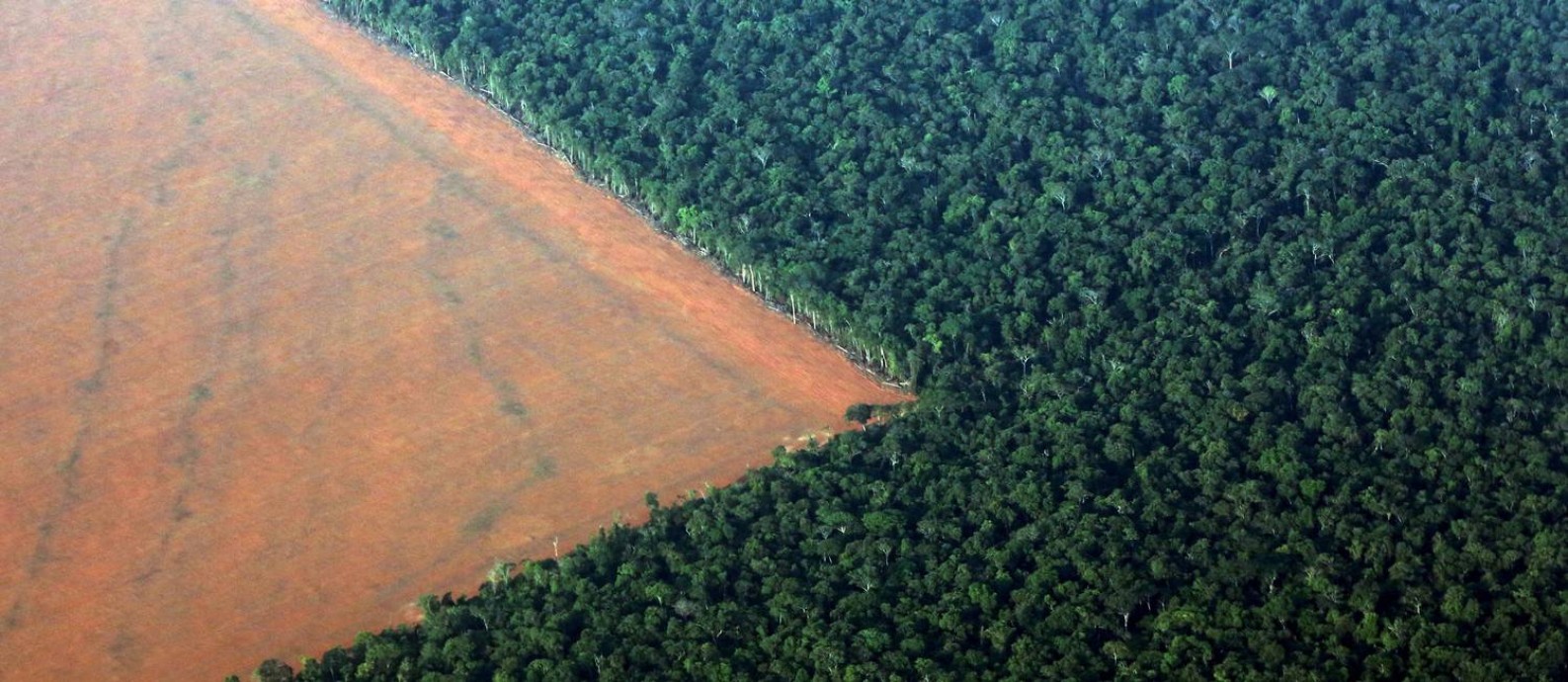 REFILE - REMOVING RESTRICTIONS FILE PHOTO: The Amazon rain forest (R), bordered by deforested land prepared for the planting of soybeans, is pictured in this aerial photo taken over Mato Grosso state in western Brazil, October 4, 2015. Picture taken October 4, 2015. desmatamento amazônia REUTERS/Paulo Whitaker/File Photo Foto: PAULO WHITAKER / Agência O Globo