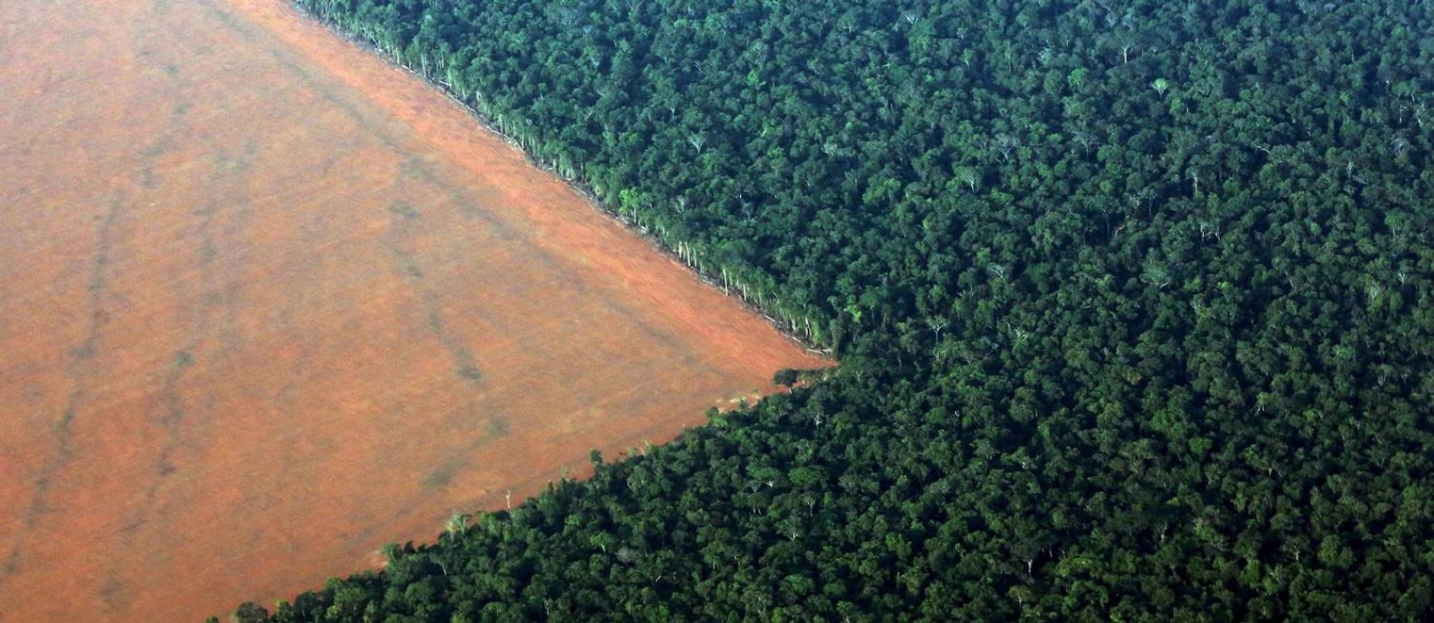 Zona desmatada da Floresta AmazÃ´nica para o plantio de soja, em Mato Grosso, em foto de outubro de 2015 Foto: PAULO WHITAKER / AgÃªncia O Globo