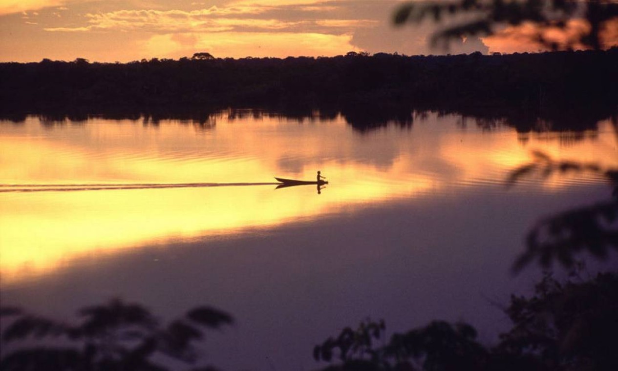 O Parque Nacional do Jaú, uma das área de proteção que fazem parte do Complexo de Conservação da Amazônia Central, que compõe a maior área protegida da Bacia Amazônica (com mais de 6 milhões de hectares). Localizada no Estado do Amazonas, entrou para lista em 2000 Foto: Juan Pratginestos / WWF