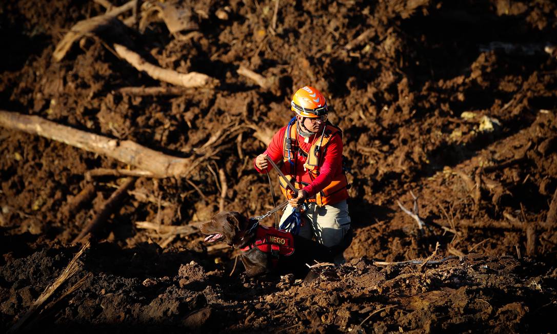 Bombeiros continuam buscando corpos na lama de Brumadinho Foto: Pablo Jacob / Agência O Globo