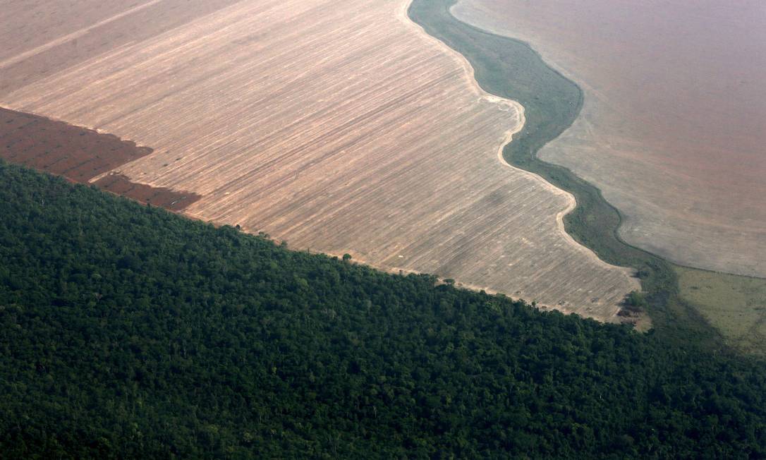 Números do Inpe mostram avanços no desmatamento da Amazônia, contestados por Bolsonaro Foto: Paulo Whitaker / Agência O Globo
