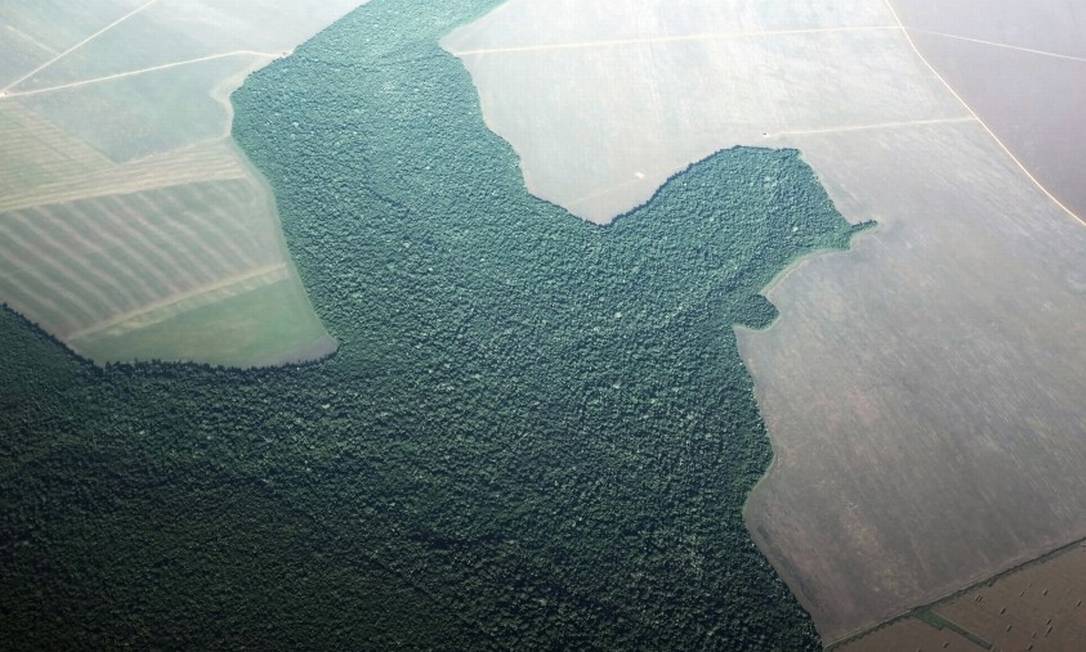 Foto aérea mostra o desmatamento na Floresta Amazônica Foto: Nacho Doce / REUTERS