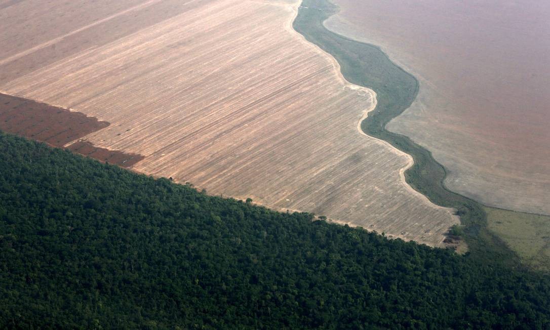 Floresta amazônica delimitada pela terra desmatada para o plantio de soja, no Mato Grosso, em outubro de 2015. Números do Instituto Nacional de Pesquisas Espaciais (Inpe) apontam que desmatamento na Amazônia em junho cresceu quase 60% em relação ao mesmo período em 2018 Foto: Paulo Whitaker / REUTERS