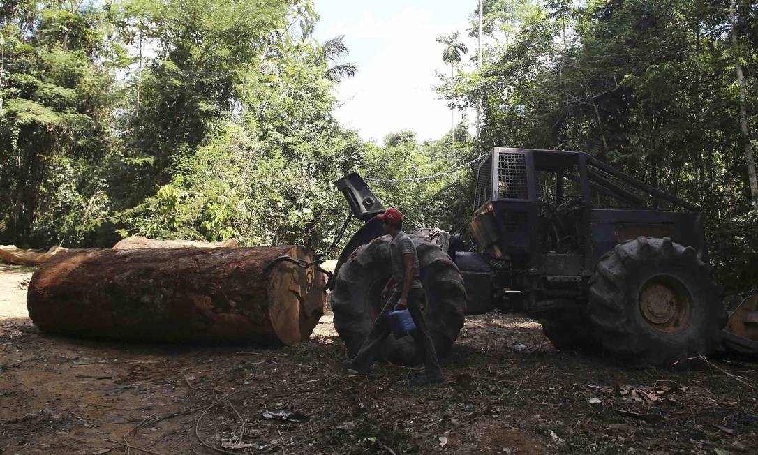 Homem contratado por madeireiros para cortar árvores na floresta amazônica age com auxílio de um veículo pronto para arrastar um tronco no Parque Nacional Jamanxim, perto da cidade de Novo Progresso, Pará, em 21 de junho de 2013 Foto: NACHO DOCE / REUTERS