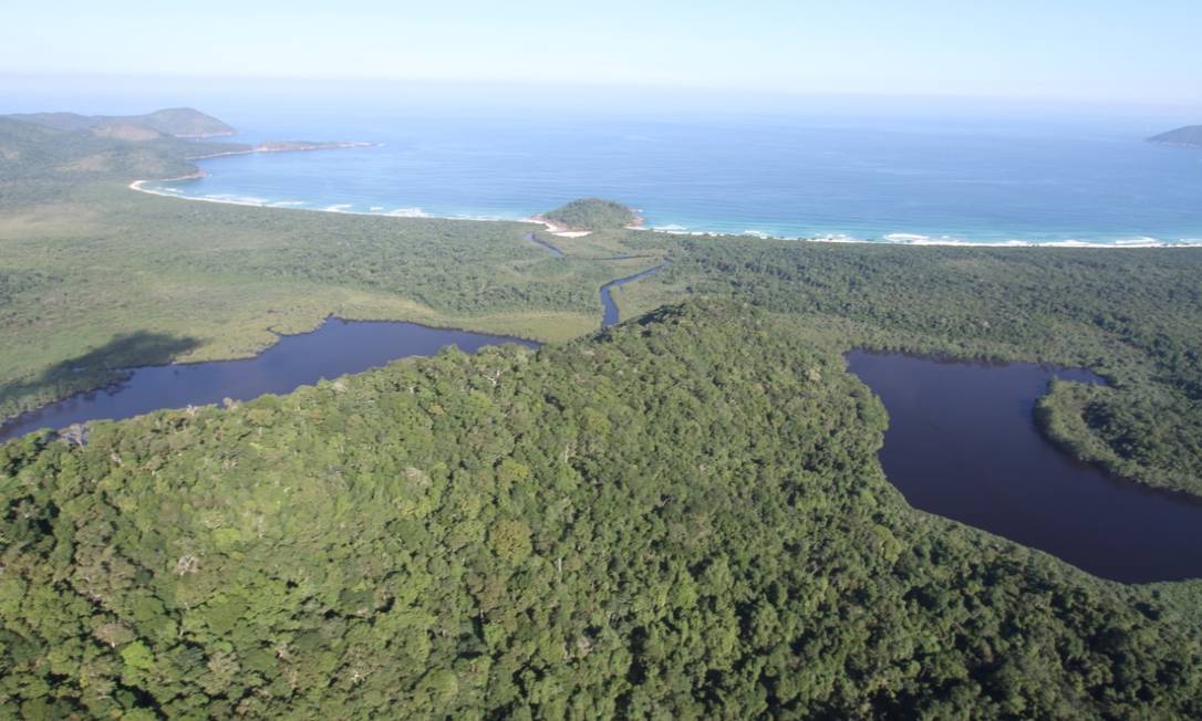 Reserva biológica na Ilha Grande, em Angra dos Reis Foto: Mário Moscatelli / Projeto Olho Verde