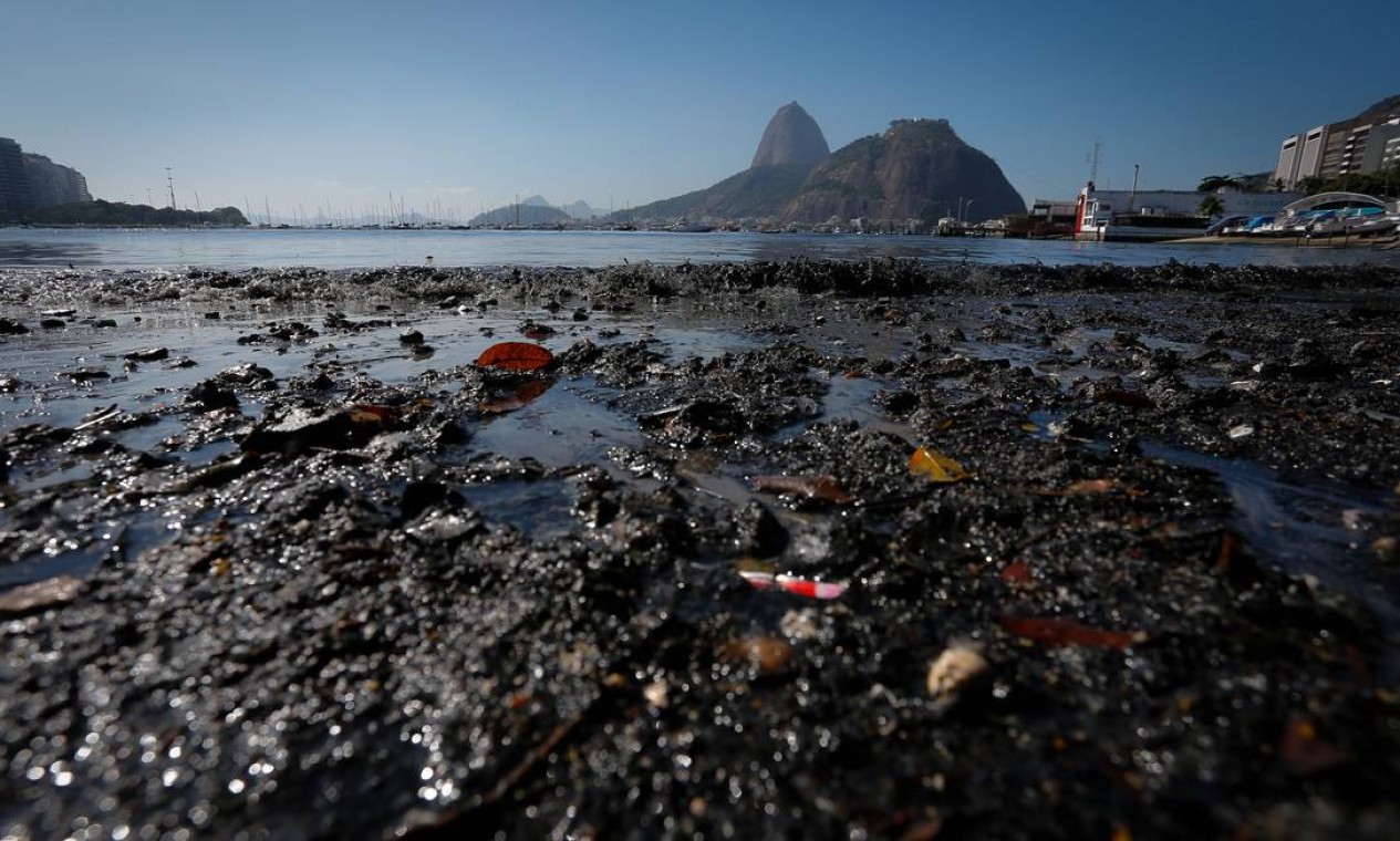 Após Ressaca Lixo E Esgoto Invadem Enseada De Botafogo Jornal O Globo