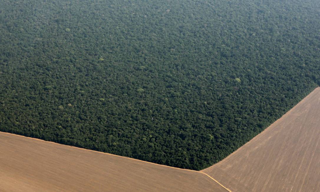 Vista aérea das fronteiras entre a Amazônia e as plantações de Soja no Mato Grosso Foto: PAULO WHITAKER / Agência O Globo