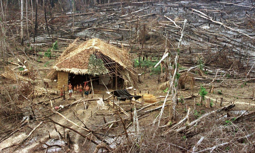 A terra indígena ianomâmi tem 9,6 milhões de hectares entre os estados de Amazonas e Roraima Foto: Gregg Newton / Reuters