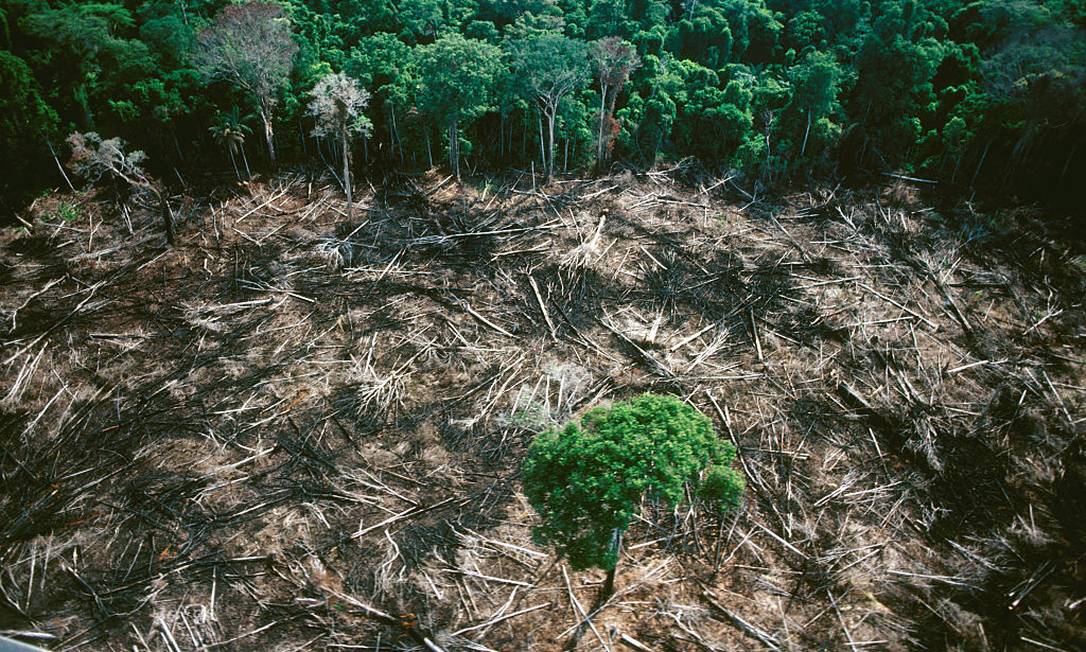Desmatamento na Amazônia Foto: COLLART Hervé / Sygma via Getty Images