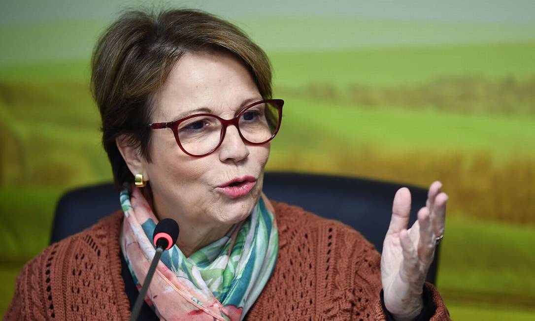 A ministra da Agricultura, Tereza Cristina. Foto: EVARISTO SA / AFP