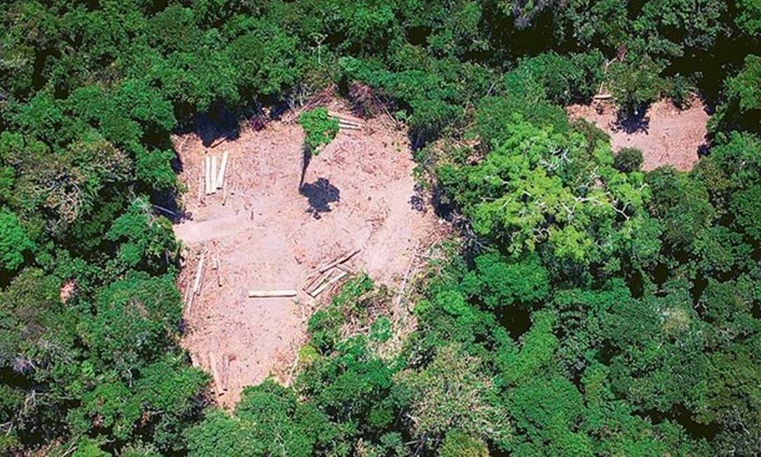 Imagem registra devastação no Pará