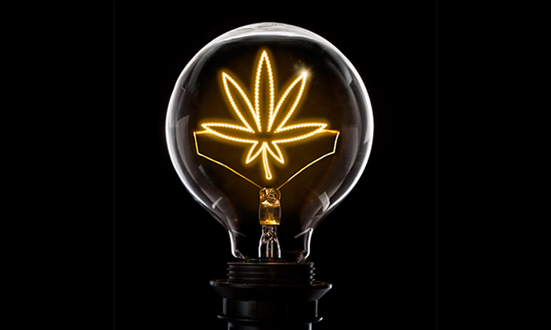 Lâmpada com folha de Cannabis Foto: Getty