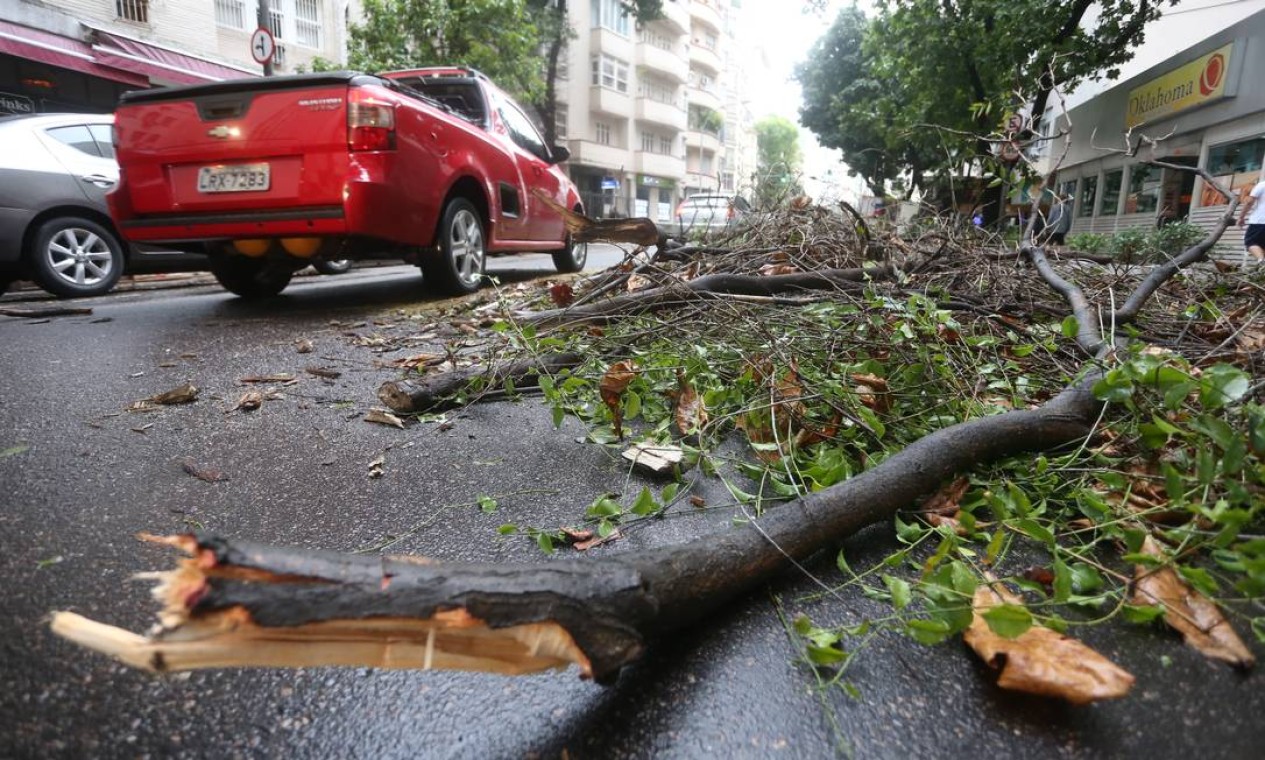 Um galho de árvore caiu na Rua Senador Vergueiro, no Flamengo Foto: Fabiano Rocha / Agência O Globo