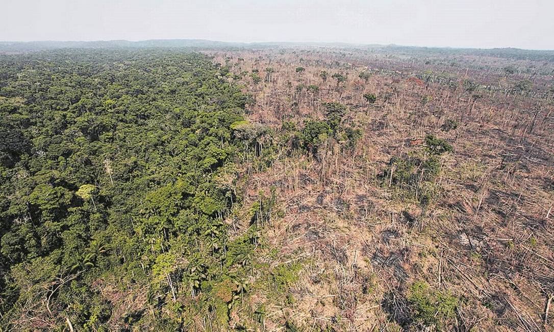 Fundo banca monitoramento feito pelo Imazon, instituto que revelou ontem aumento de 15% do desflorestamento de agosto de 2018 a julho passado Foto: Andre Penner/AP/15-9-2009