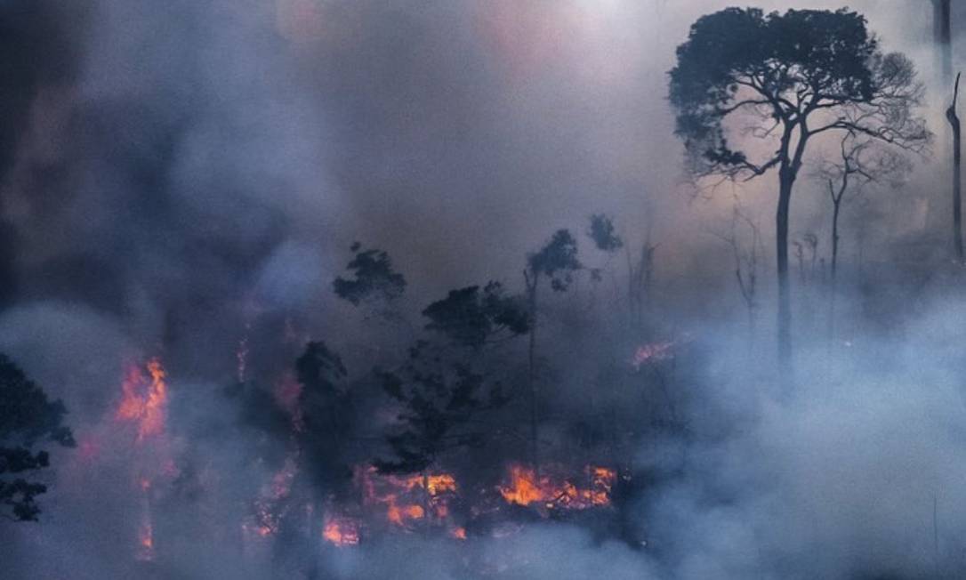 Aumento no número de focos de incêndio em florestas é um dos assuntos repercutidos na rede social Foto: Reprodução/ Twitter