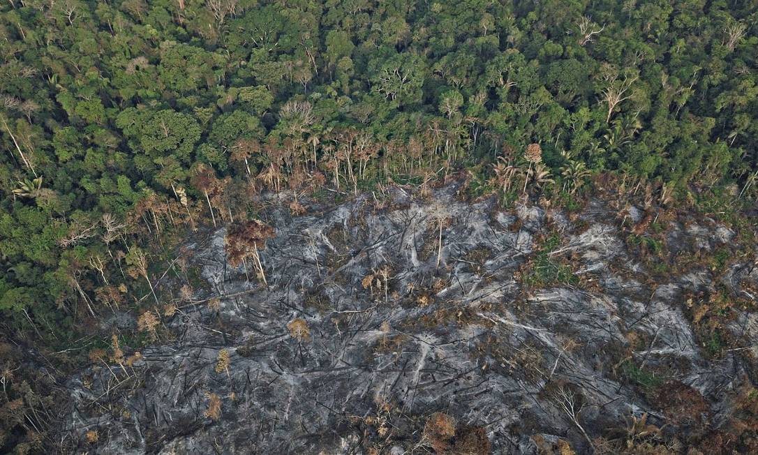 Área atingida por queimadas em Rondônia Foto: Arquivo pessoal