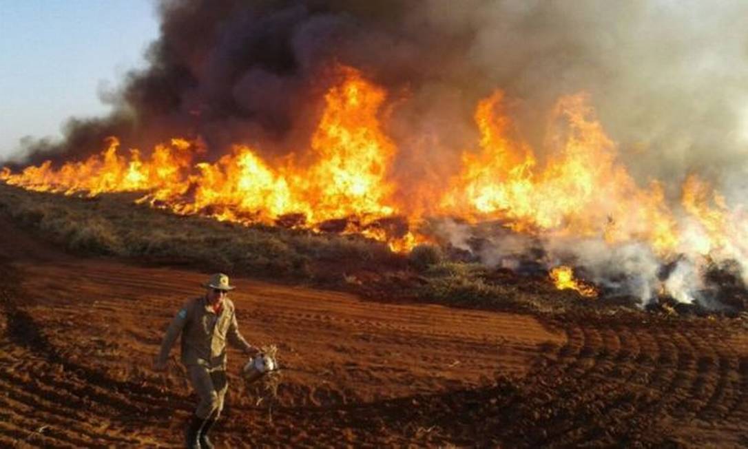 O número de focos de incêndio e de alertas de desmatamento cresceu - mas o Ibama diminuiu o ritmo das multas. Na foto, uma queimada no Mato Grosso do Sul Foto: Corpo de Bombeiros