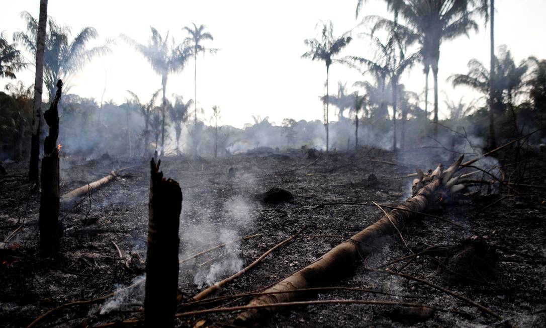 A charred trunk is seen on a tract of Amazon jungle that was recently burned by loggers and farmers in Iranduba, Amazonas state, Brazil August 20, 2019. REUTERS/Bruno Kelly Foto: BRUNO KELLY / Reuters