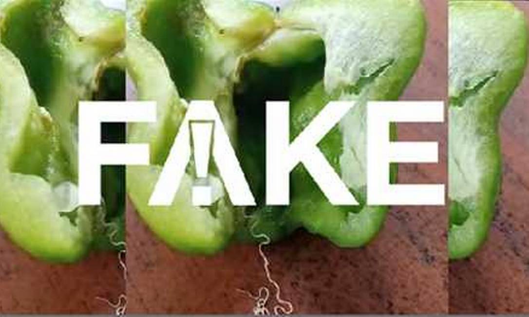 É #FAKE que pimentões estejam contaminados com verme Simla Mirch Foto: Reprodução