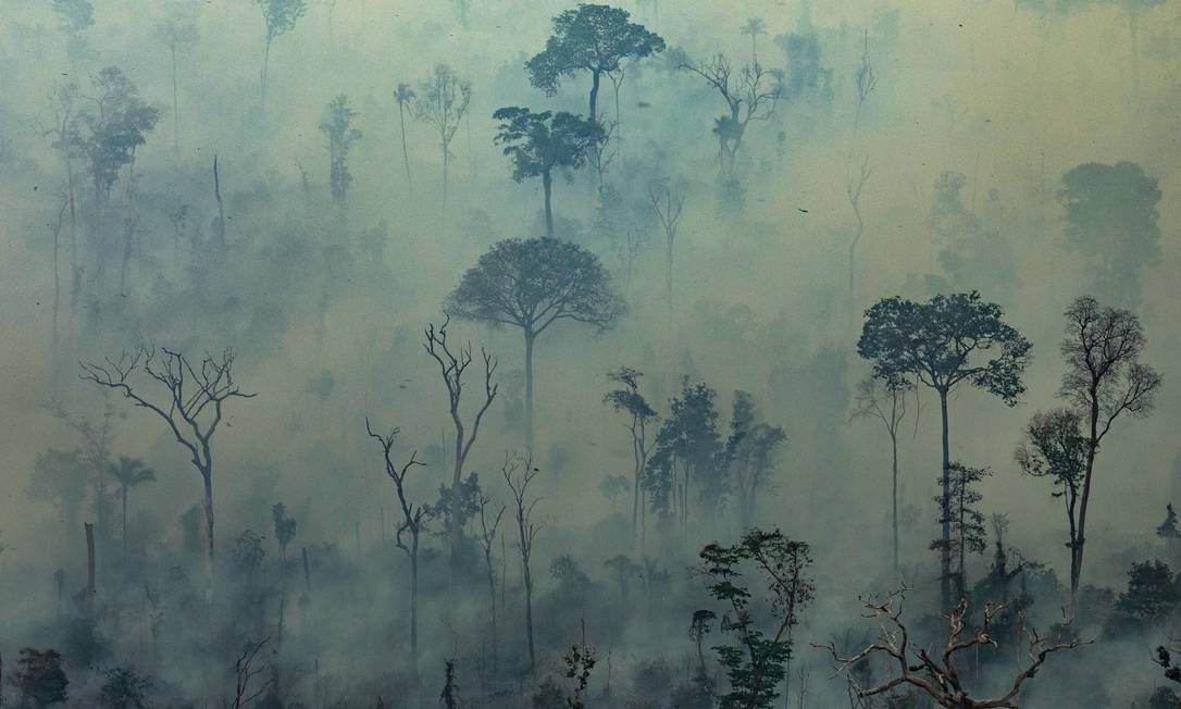 Fogo na Floresta Amazônica no município de Altamira, no Pará; governo brasileiro decidiu recusar dinheiro oferecido pelo G7 para combate de incêndios Foto: VICTOR MORIYAMA / AFP/Greenpeace