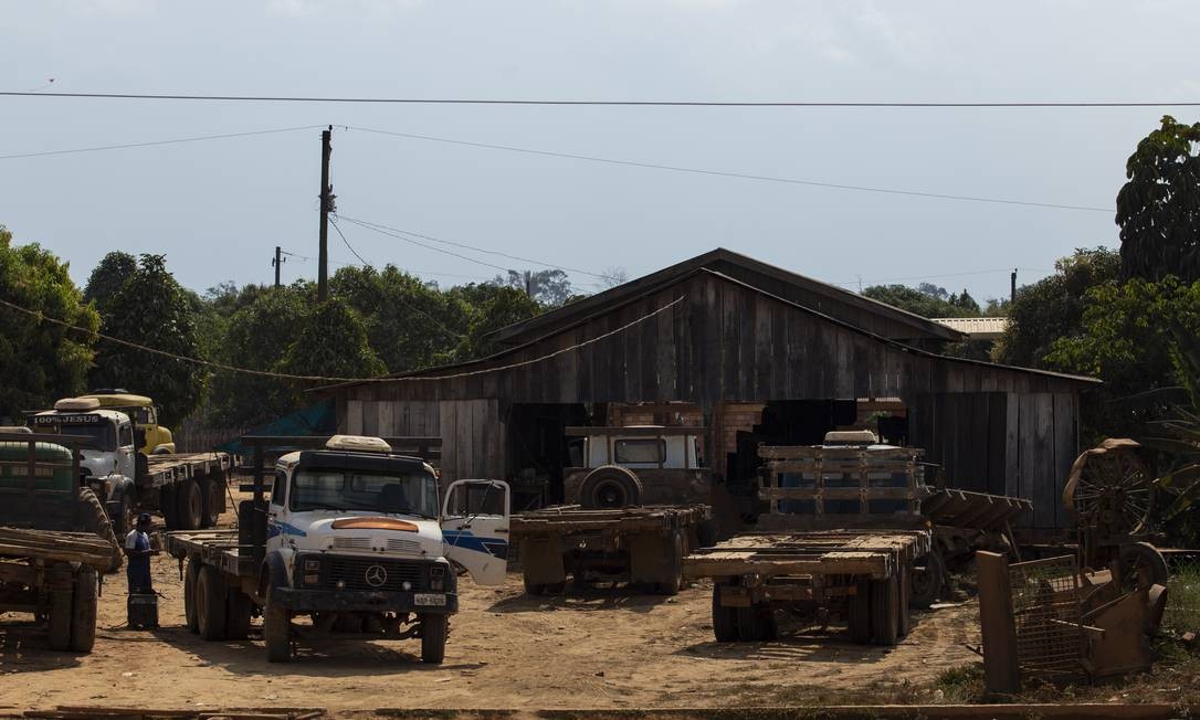 Os chamados caminhões 'toreiros', que fazem o transporte de toras de árvore Foto: Gabriel Monteiro / Agência O Globo