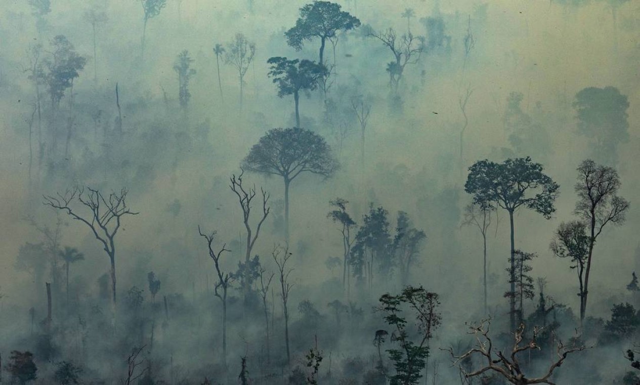 Foto aérea divulgada pelo Greenpeace mostra fumaça saindo de incêndios na floresta amazônica no município de Altamira, no Pará Foto: VICTOR MORIYAMA / AFP / 23/08/2019