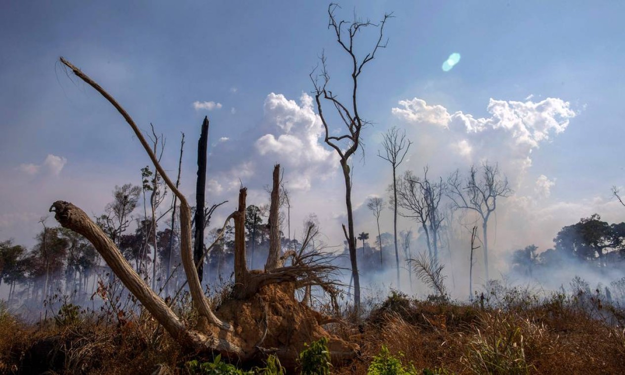 Área queimada após um incêndio na floresta amazônica perto de Novo Progresso, no Pará. O Brasil implantou no domingo duas aeronaves para apagar incêndios que devoram partes da floresta Foto: JOAO LAET / AFP / 25/08/2019