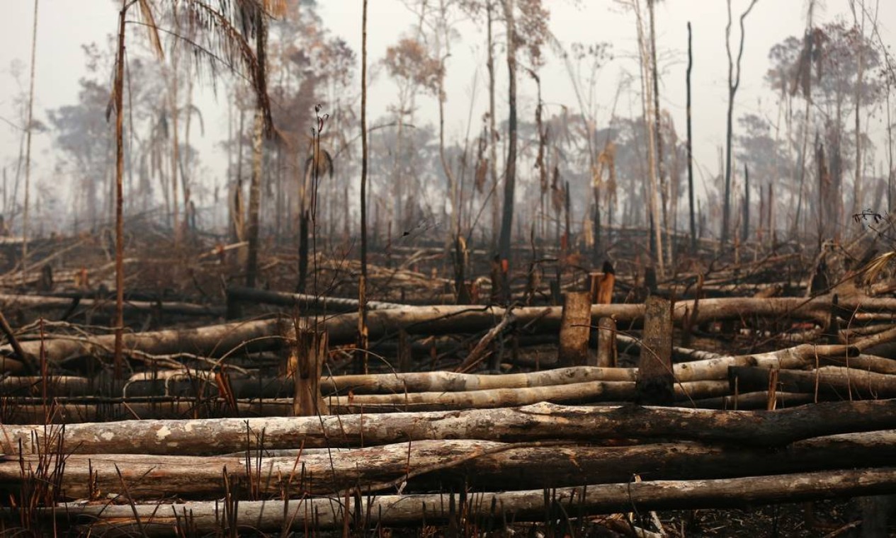 Cenário de destruição em uma área da floresta amazônica após um incêndio em Boca do Acre, estado do Amazonas Foto: BRUNO KELLY / REUTERS / 24/08/2019