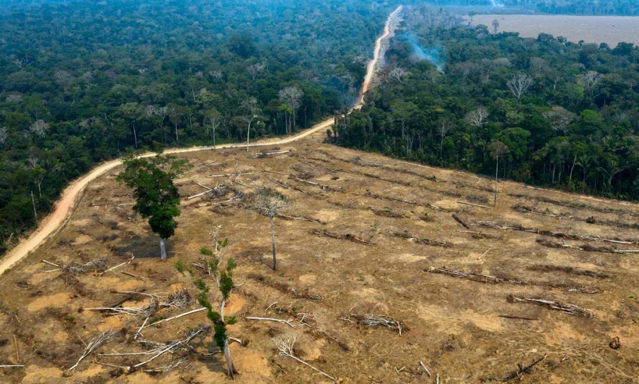 Vista aérea de áreas queimadas da floresta amazônica, perto de Porto Velho, em Rondônia, registrada uma dia depois do presidente Jair Bolsonaro autorizar o envio das Forças Armadas para atuar no combate às queimadas Foto: CARLOS FABAL / AFP / 24/08/2019