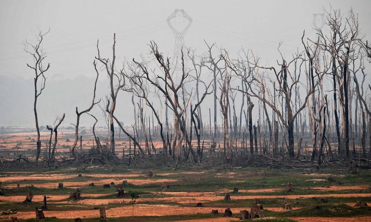 Área atingida por incêndio em Boca do Acre, Amazonas Foto: CARL DE SOUZA / AFP / 24/08/2019