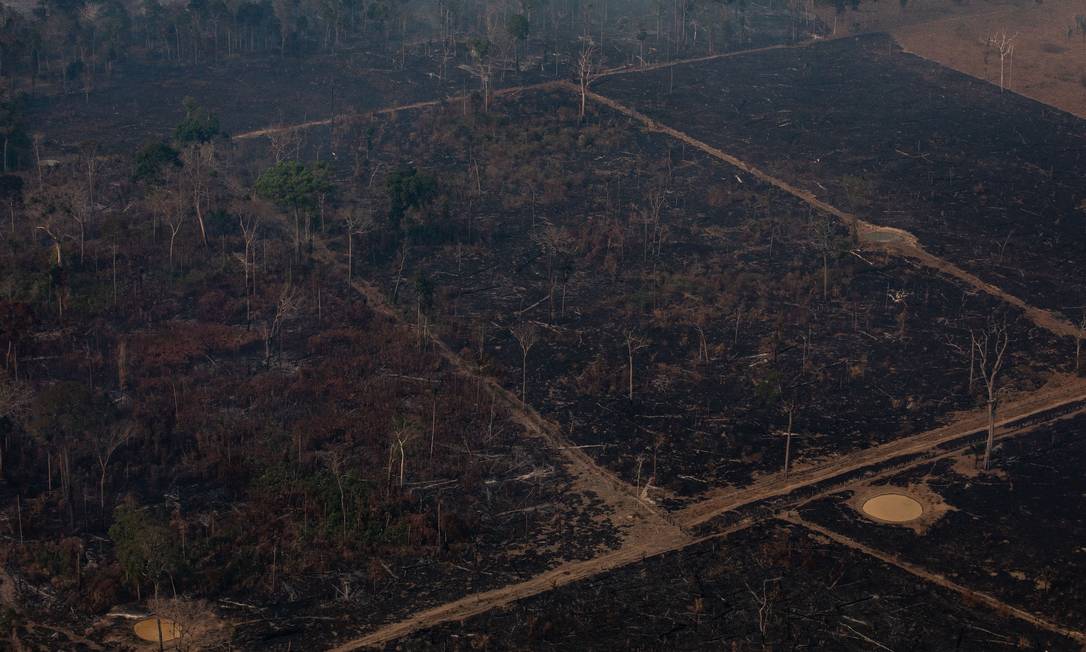 Área da floresta amazônica, em Porto Velho, dizimada por queimadas Foto: Victor Moriyama / Getty Images