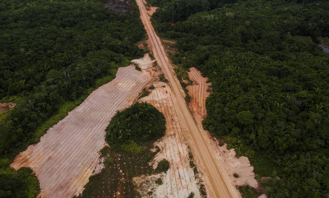 Desmatamento à beira da BR-319, que liga Porto Velho a Manaus Foto: Gabriel Monteiro / Agência O Globo
