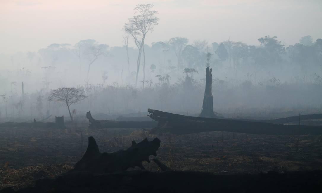 Área queimada na região amazôniza próxima a Porto Velho Foto: RICARDO MORAES / REUTERS