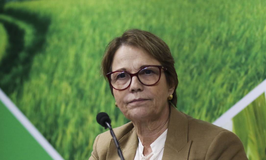 A ministra da Agricultura, Tereza Cristina Foto: Marcello Casal Jr / Agência O Globo