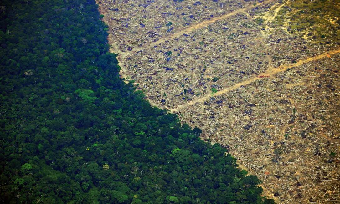 Área desmatada da Amazônia a cerca de 65 km de Porto Velho, capital de Rondônia Foto: CARL DE SOUZA / AFP