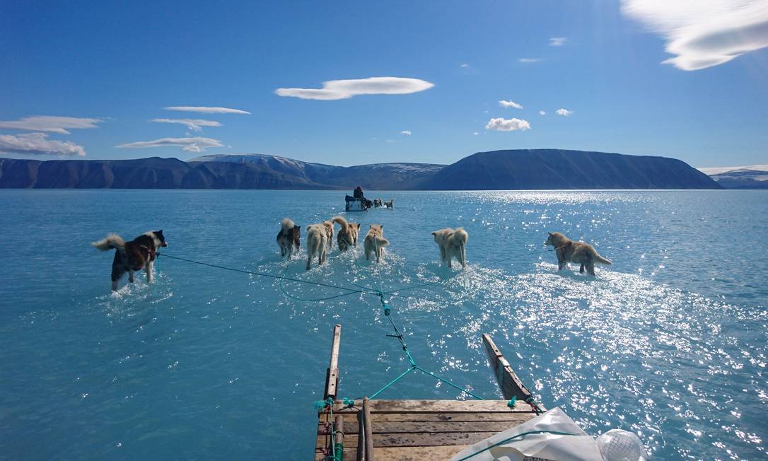 Imagem fotografada por Steffen Olsen, do Centro de Oceano e Gelo do Instituto Meteorolítico Dinamarquês, mostra cães de trenó andando pela água parada no gelo do mar durante uma expedição no noroeste da Groenlândia. Relatório da ONU sobre oceanos e mudanças climáticas destaca efeitos que China, Estados Unidos, União Europeia e Índia enfrentarão Foto: STEFFEN OLSEN / AFP