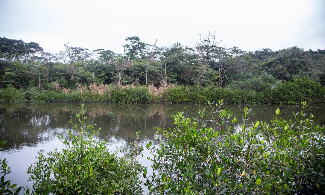 Laudo da Polícia Federal aponta que Canal do Camboatá, ligação entre as lagoas de Itaipu e Piratininga, recebe efluentes sem tratamento adequado Foto: Gabriela Fittipaldi / Agência O Globo