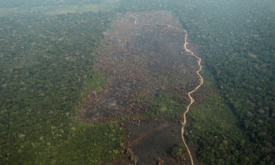 Visão aérea de uma parte desmatada da Amazônia, numa região próxima ao município de Humaitá, no Amazônas. Foto tirada em 22 de agosto. Foto: UESLEI MARCELINO / Reuters