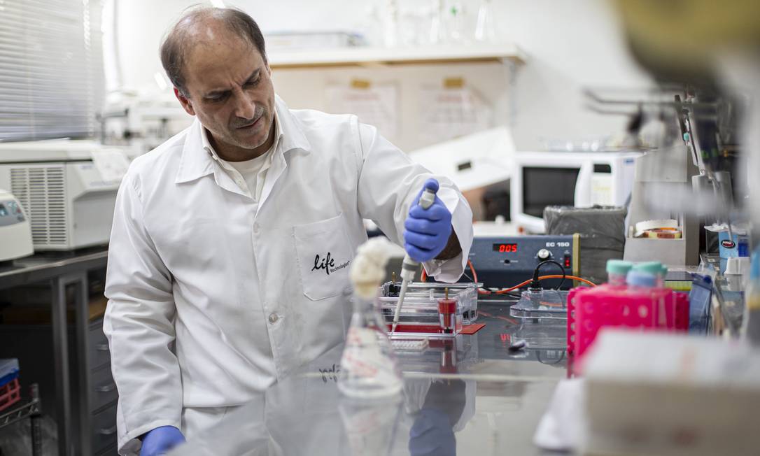 O professor Rodrigo Brindeiro teme pelo futuro das pesquisas sobre mayaro e chicungunha, no laboratório da UFRJ. Foto: Hermes de Paula / Agência O Globo