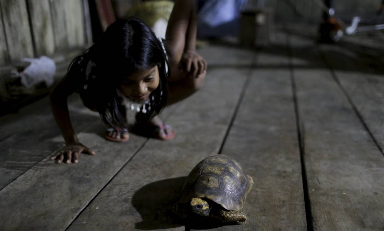Criança brinca com tartaruga na comunidade boliviana Mercedes Foto: Domingos Peixoto / Agência O Globo