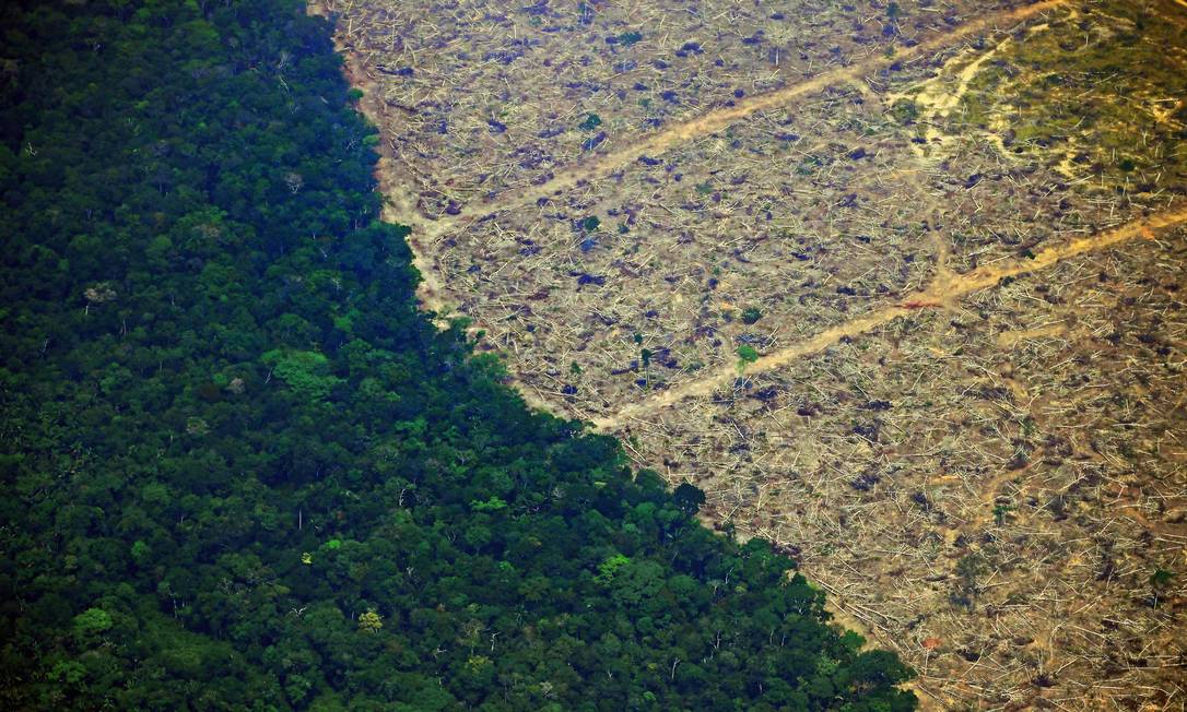 Aerial picture showing a deforested piece of land in the Amazon rainforest near an area affected by fires, about 65 km from Porto Velho, in the state of Rondonia, in northern Brazil, on August 23, 2019. - Bolsonaro said Friday he is considering deploying the army to help combat fires raging in the Amazon rainforest, after news about the fires have sparked protests around the world. The latest official figures show 76,720 forest fires were recorded in Brazil so far this year -- the highest number for any year since 2013. More than half are in the Amazon. (Photo by CARL DE SOUZA / AFP) Foto: CARL DE SOUZA / AFP
