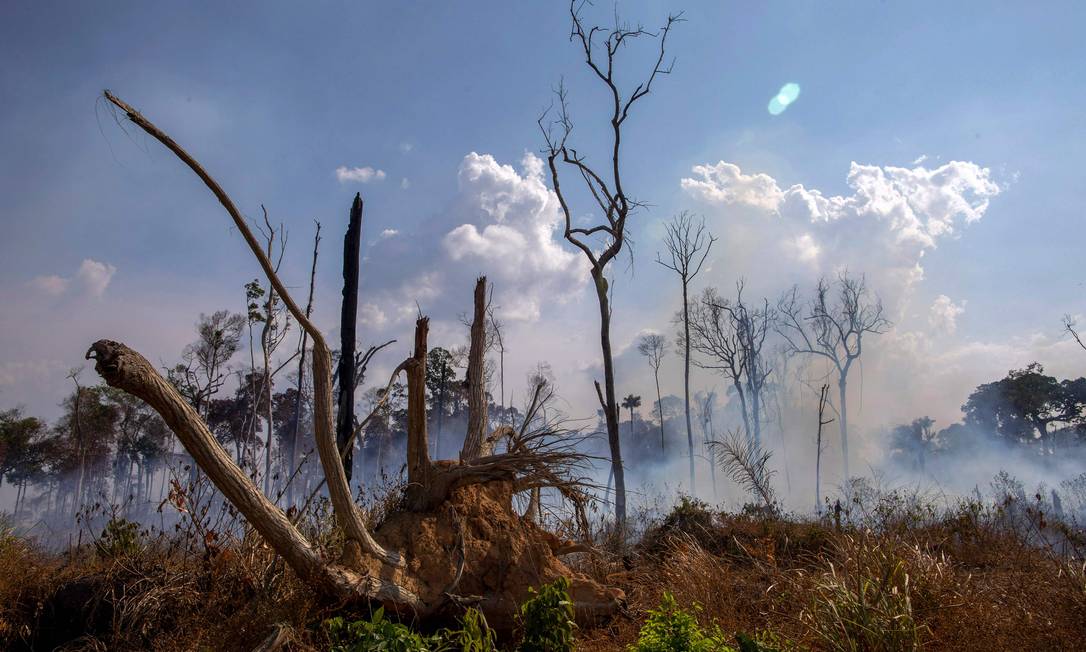 Área queimada próximo a Novo Progresso, no Pará, onde é investigado o "Dia do Fogo" Foto: JOAO LAET / AFP
