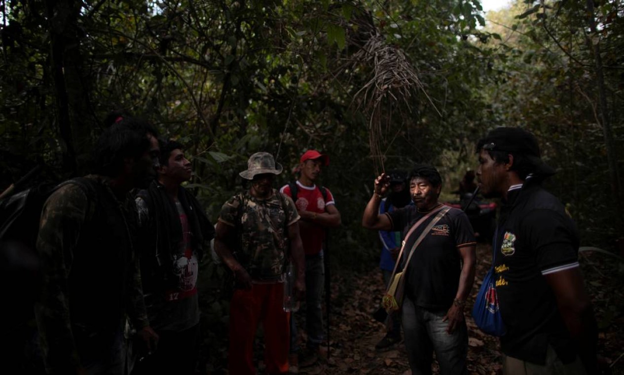 O grupo percorre a floresta em busca de acampamentos clandestinos de madeireiros na terra indígena de Arariboia, perto da cidade de Amarante, no Maranhão Foto: UESLEI MARCELINO / REUTERS